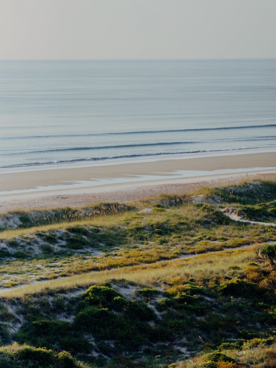 Amelia Island shore